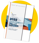 Frost-and-Sullivan-report-2022-mini-preview